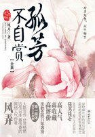 孤芳不自赏(钟汉良、Angelababy主演)